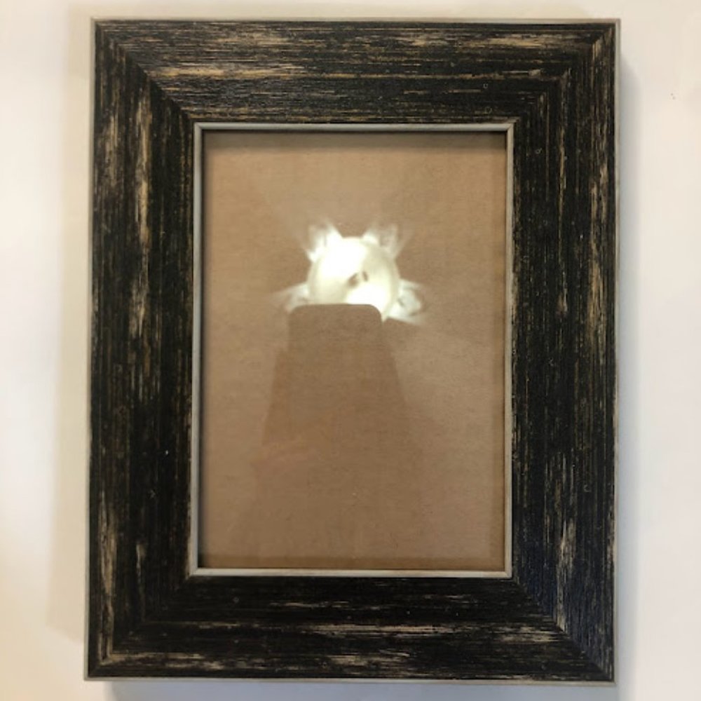 Elsa L 5 x 7 B-Eco Frame / Black & Gold